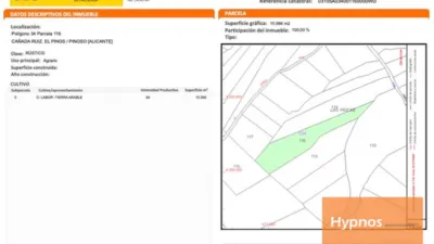 Terreno en venta en El Pinós - Pinoso - Vista 5