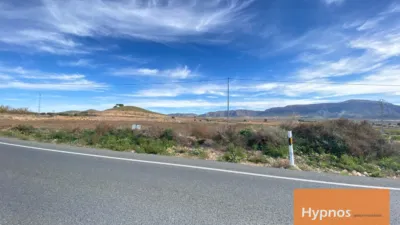 Rustic farm in Jumilla photo 6