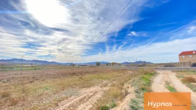 Rustic farm in Jumilla photo 5