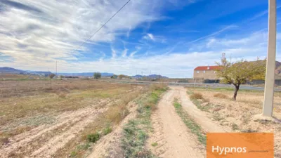 Rustic farm in Jumilla photo 7