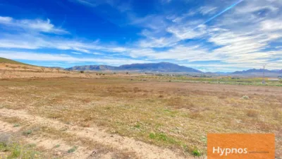 Rustic farm in Jumilla photo 10