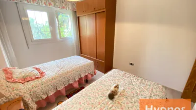 Apartment in Jumilla photo 10