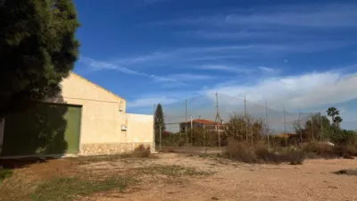 Rustic Farm on Carretera a Guía photo 3