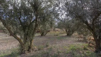 Rustic house in Dúrcal photo 12