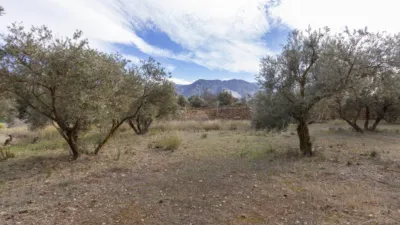 Rustic house in Dúrcal photo 8