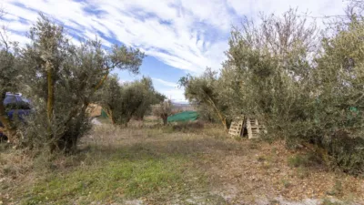 Rustic house in Dúrcal photo 5