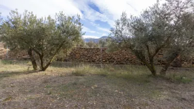 Rustic house in Dúrcal photo 18