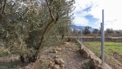 Rustic house in Dúrcal photo 15