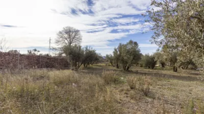 Rustic house in Dúrcal photo 20