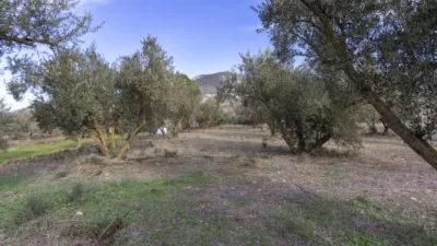 Rustic house in Dúrcal photo 10