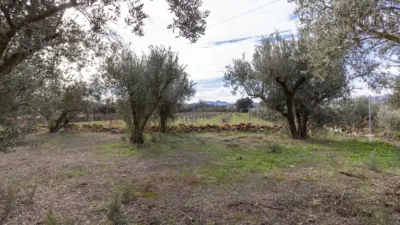 Rustic house in Dúrcal photo 9