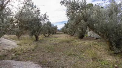 Rustic house in Dúrcal photo 7