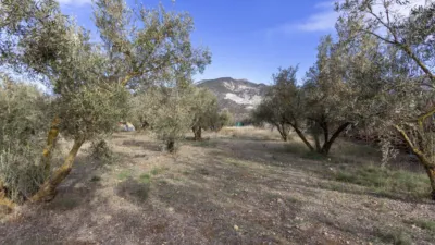 Rustic house in Dúrcal photo 16