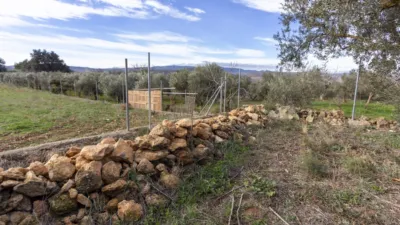 Rustic house in Dúrcal photo 11