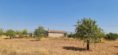 Terreno en venta en Pasaje Lo Jorge, Número 1, Fuente Álamo (Fuente Álamo de Murcia) de 180.000 €
