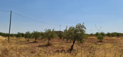 Terreno en venta en Pasaje Lo Jorge, Número 1, Fuente Álamo (Fuente Álamo de Murcia) de 180.000 €