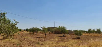 Terreno en venta en Pasaje Lo Jorge, Número 1, Fuente Álamo (Fuente Álamo de Murcia) de 180.000 €