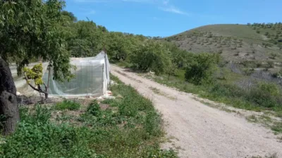 Finca rústica en calle Torvizcon, nº 001 photo 27