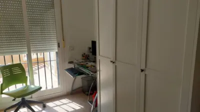 Apartment on Calle de los Gladiolos photo 10