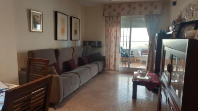Apartment on Calle de los Gladiolos photo 17