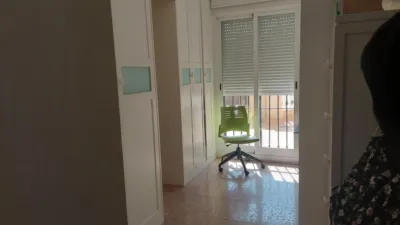 Apartment on Calle de los Gladiolos photo 9