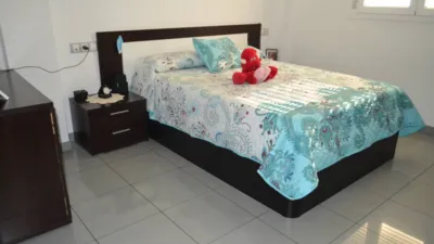 Apartment in Centro-Sur photo 2
