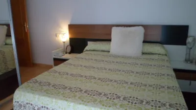 Apartment in Loma de La Mezquita photo 5