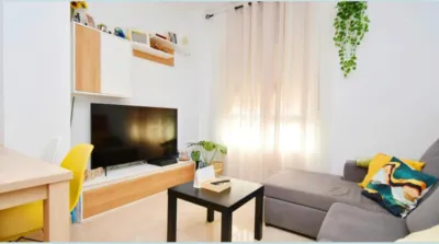 Apartment on Paseo del Alcalde García Acién photo 2
