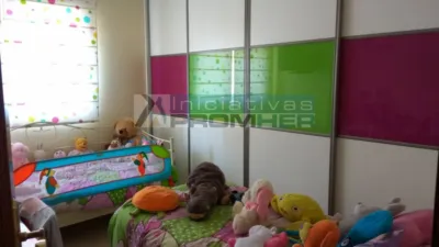 Apartment in Barrio Sur photo 6