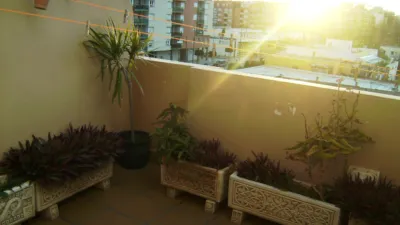 Penthouse in Ejido Centro-Este photo 4