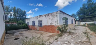 Chalet on Calle Font del Sapo photo 5
