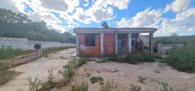 Chalet on Calle Font del Sapo photo 12