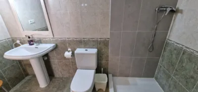 Apartment in L'Eixereta photo 12