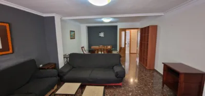 Apartment in L'Eixereta photo 39