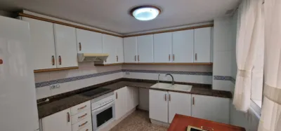 Apartment in L'Eixereta photo 50