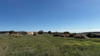 Rustic Finca on Camino de Saladas photo 26