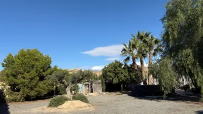 Rustic Finca on Camino de Saladas photo 35