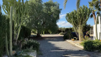 Rustic Finca on Camino de Saladas photo 8
