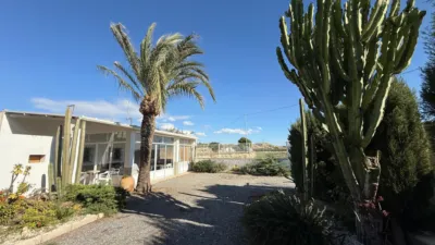 Rustic Finca on Camino de Saladas photo 46