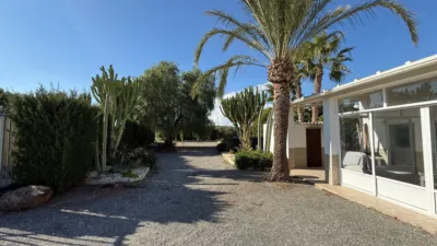 Casa – Elx - Elche - Vista 4