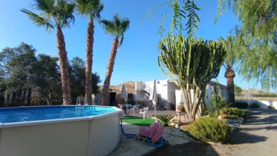 Casa – Elx - Elche - Vista 2