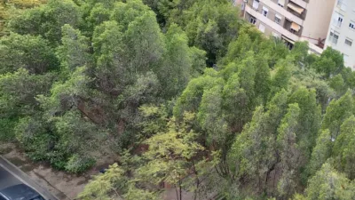 Apartment for sale on Calle del Capità Baltasar Tristany photo 36