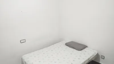 Apartment in Pont Nou photo 10