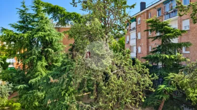 Apartment on Francisco Altimiras Street photo 19
