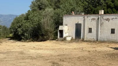Rustic farm on Calle Partida Coll photo 14