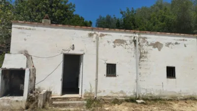 Rustic farm on Calle Partida Coll photo 15