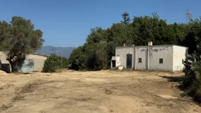Rustic farm on Calle Partida Coll photo 13