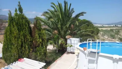 Rustic finca on Calle Partida Hoya de Ibi photo 3