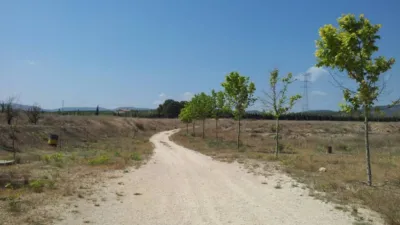Rustic finca on Calle Partida Hoya de Ibi photo 5