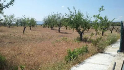 Rustic finca on Calle Partida Hoya de Ibi photo 6